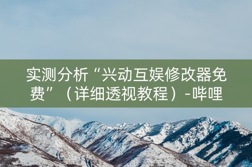 实测分析“兴动互娱修改器免费”（详细透视教程）-哔哩哔哩
