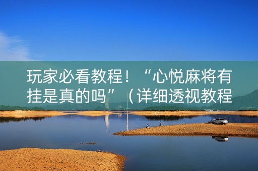玩家必看教程！“心悦麻将有挂是真的吗”（详细透视教程）-哔哩哔哩
