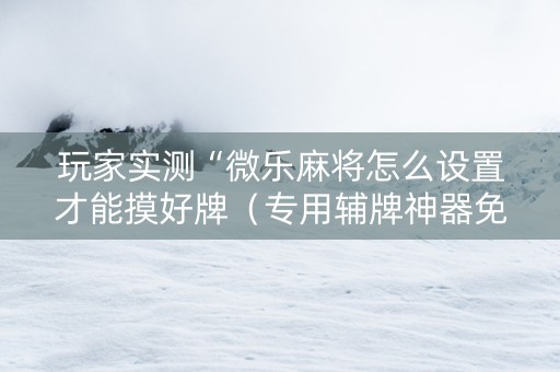 玩家实测“微乐麻将怎么设置才能摸好牌（专用辅牌神器免安装）
