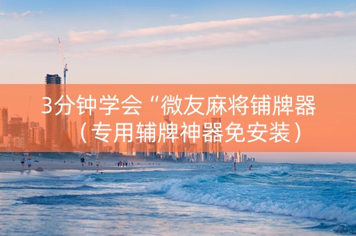 3分钟学会“微友麻将铺牌器（专用辅牌神器免安装）