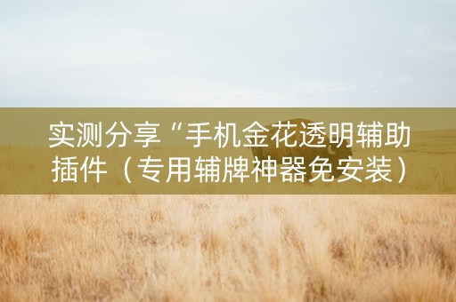 实测分享“手机金花透明辅助插件（专用辅牌神器免安装）