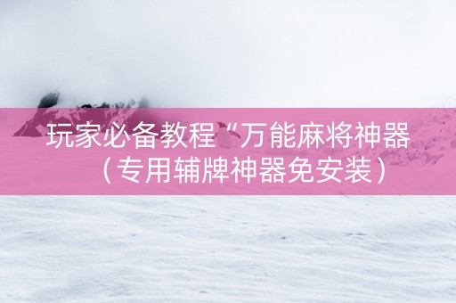 玩家必备教程“万能麻将神器（专用辅牌神器免安装）