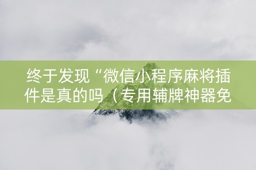 终于发现“微信小程序麻将插件是真的吗（专用辅牌神器免安装）