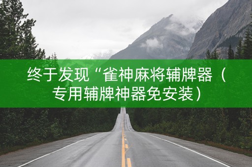 终于发现“雀神麻将辅牌器（专用辅牌神器免安装）