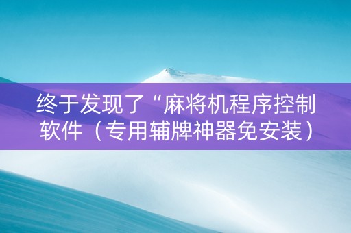 终于发现了“麻将机程序控制软件（专用辅牌神器免安装）