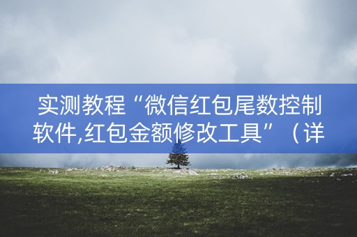 实测教程“微信红包尾数控制软件,红包金额修改工具”（详细透视教程）-哔哩哔哩