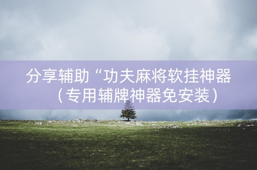 分享辅助“功夫麻将软挂神器（专用辅牌神器免安装）