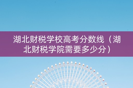 湖北财税学校高考分数线（湖北财税学院需要多少分）