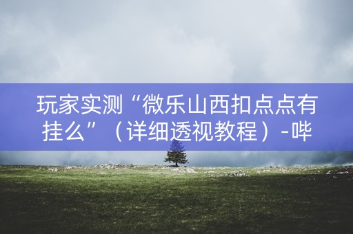 玩家实测“微乐山西扣点点有挂么”（详细透视教程）-哔哩哔哩