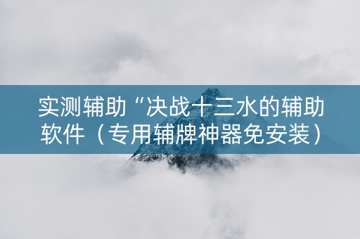 实测辅助“决战十三水的辅助软件（专用辅牌神器免安装）
