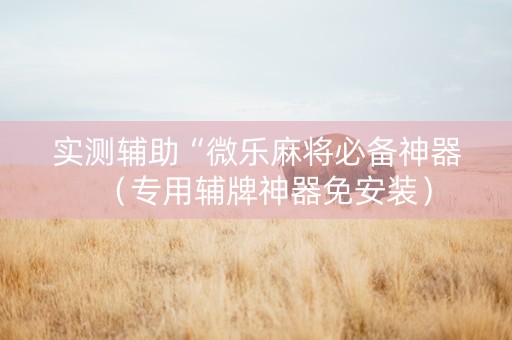 实测辅助“微乐麻将必备神器（专用辅牌神器免安装）