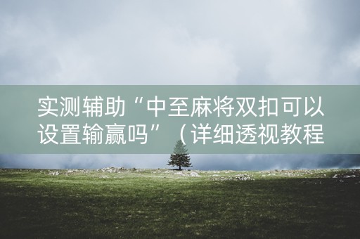 实测辅助“中至麻将双扣可以设置输赢吗”（详细透视教程）-哔哩哔哩