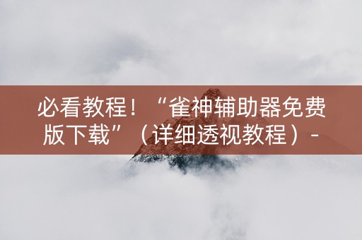 必看教程！“雀神辅助器免费版下载”（详细透视教程）-哔哩哔哩