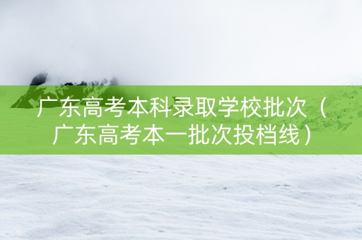 广东高考本科录取学校批次（广东高考本一批次投档线）