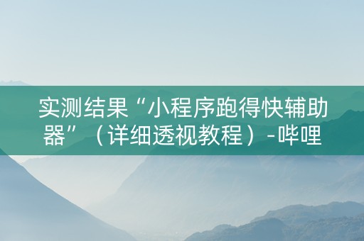 实测结果“小程序跑得快辅助器”（详细透视教程）-哔哩哔哩