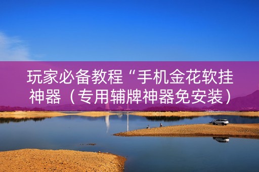 玩家必备教程“手机金花软挂神器（专用辅牌神器免安装）