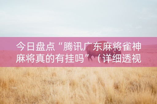 今日盘点“腾讯广东麻将雀神麻将真的有挂吗”（详细透视教程）-哔哩哔哩