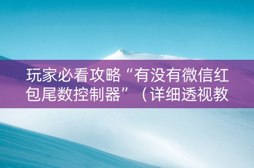 玩家必看攻略“有没有微信红包尾数控制器”（详细透视教程）-哔哩哔哩