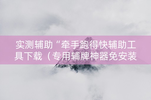 实测辅助“牵手跑得快辅助工具下载（专用辅牌神器免安装）