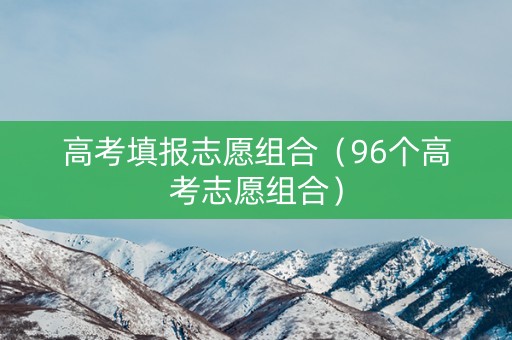 高考填报志愿组合（96个高考志愿组合）