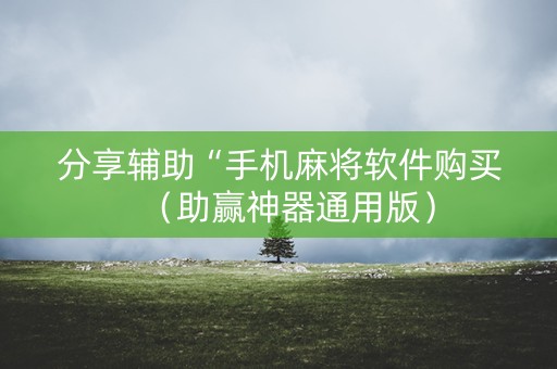 分享辅助“手机麻将软件购买（助赢神器通用版）