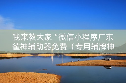 我来教大家“微信小程序广东雀神辅助器免费（专用辅牌神器免安装）