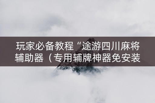 玩家必备教程“途游四川麻将辅助器（专用辅牌神器免安装）