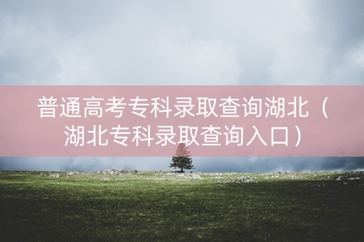 普通高考专科录取查询湖北（湖北专科录取查询入口）