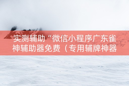 实测辅助“微信小程序广东雀神辅助器免费（专用辅牌神器免安装）