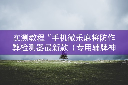 实测教程“手机微乐麻将防作弊检测器最新款（专用辅牌神器免安装）