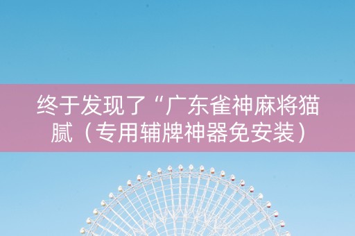 终于发现了“广东雀神麻将猫腻（专用辅牌神器免安装）