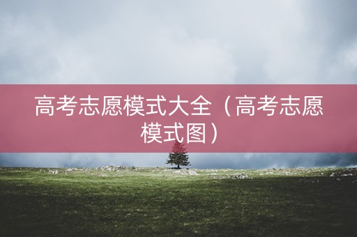 高考志愿模式大全（高考志愿模式图）