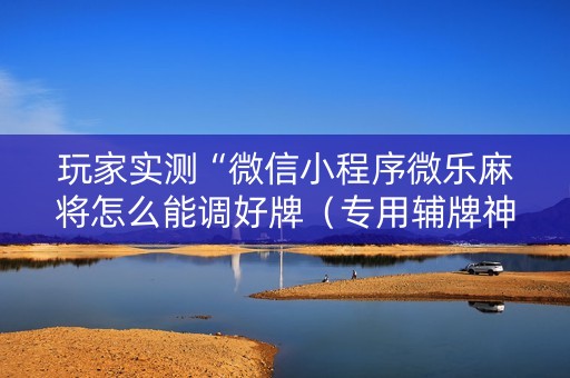 玩家实测“微信小程序微乐麻将怎么能调好牌（专用辅牌神器免安装）