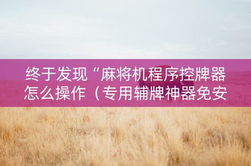 终于发现“麻将机程序控牌器怎么操作（专用辅牌神器免安装）