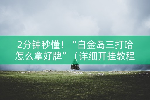 2分钟秒懂！“白金岛三打哈怎么拿好牌”（详细开挂教程）-哔哩哔哩