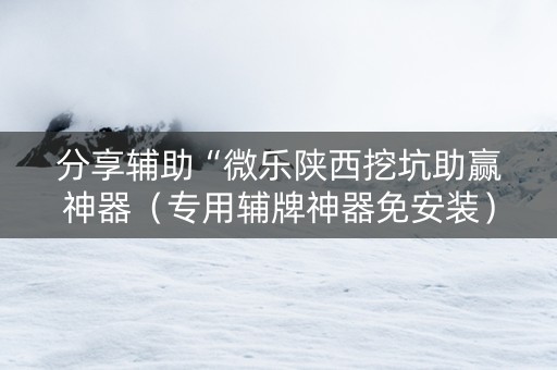 分享辅助“微乐陕西挖坑助赢神器（专用辅牌神器免安装）