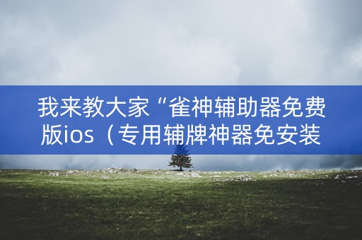 我来教大家“雀神辅助器免费版ios（专用辅牌神器免安装）