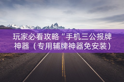 玩家必看攻略“手机三公报牌神器（专用辅牌神器免安装）