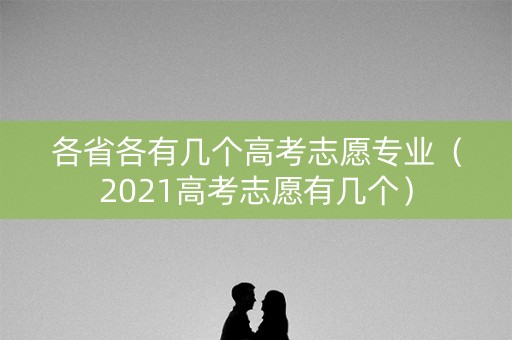 各省各有几个高考志愿专业（2021高考志愿有几个）