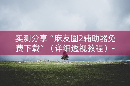 实测分享“麻友圈2辅助器免费下载”（详细透视教程）-哔哩哔哩