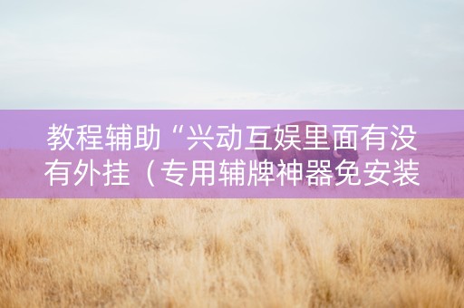 教程辅助“兴动互娱里面有没有外挂（专用辅牌神器免安装）