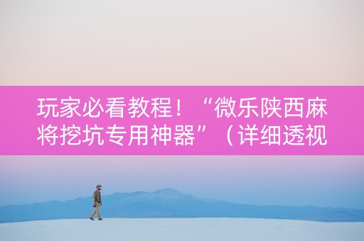 玩家必看教程！“微乐陕西麻将挖坑专用神器”（详细透视教程）-哔哩哔哩