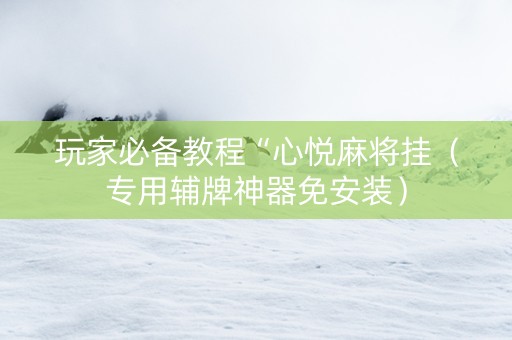玩家必备教程“心悦麻将挂（专用辅牌神器免安装）