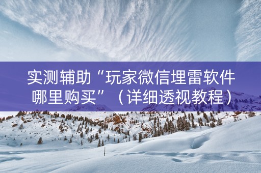 实测辅助“玩家微信埋雷软件哪里购买”（详细透视教程）-哔哩哔哩