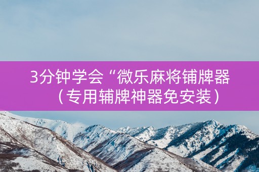 3分钟学会“微乐麻将铺牌器（专用辅牌神器免安装）