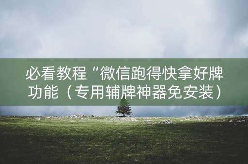 必看教程“微信跑得快拿好牌功能（专用辅牌神器免安装）