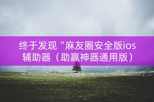 终于发现“麻友圈安全版ios辅助器（助赢神器通用版）