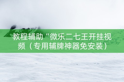 教程辅助“微乐二七王开挂视频（专用辅牌神器免安装）