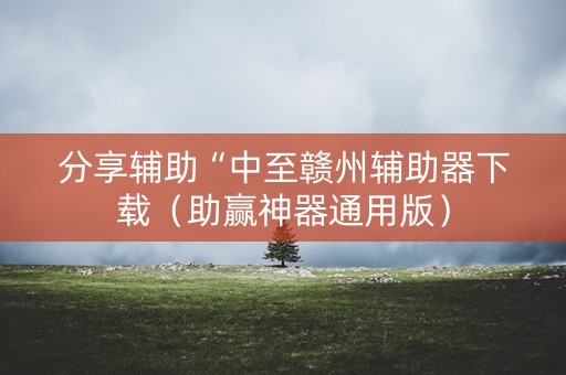 分享辅助“中至赣州辅助器下载（助赢神器通用版）