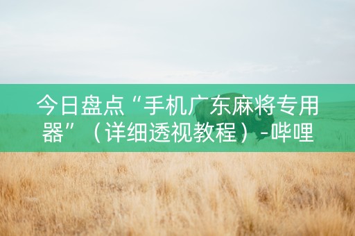 今日盘点“手机广东麻将专用器”（详细透视教程）-哔哩哔哩